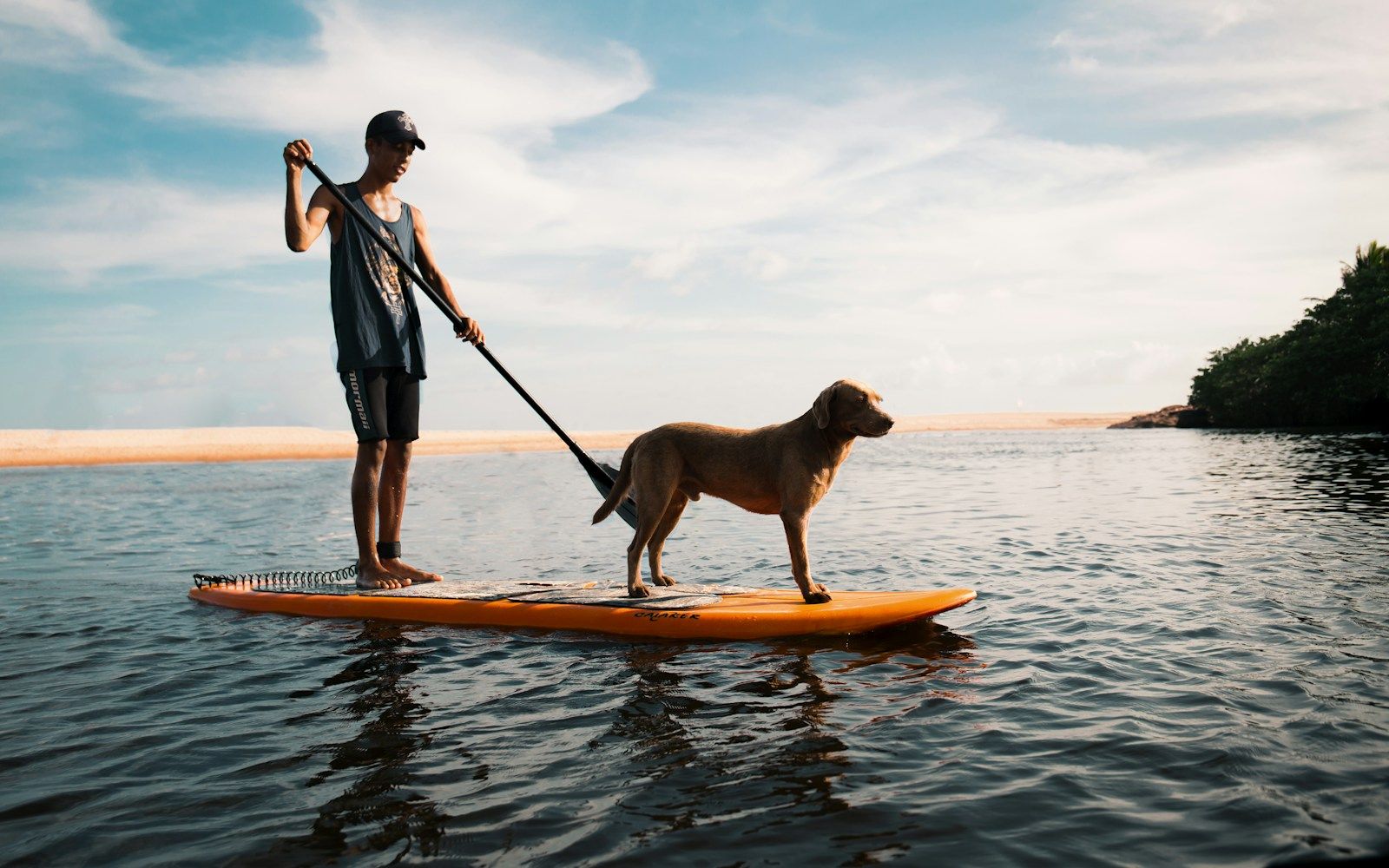 Homme debout sur un paddle orange avec son chien, sur une eau calme près d'une côte boisée